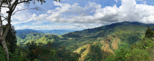 Papua New Guinea