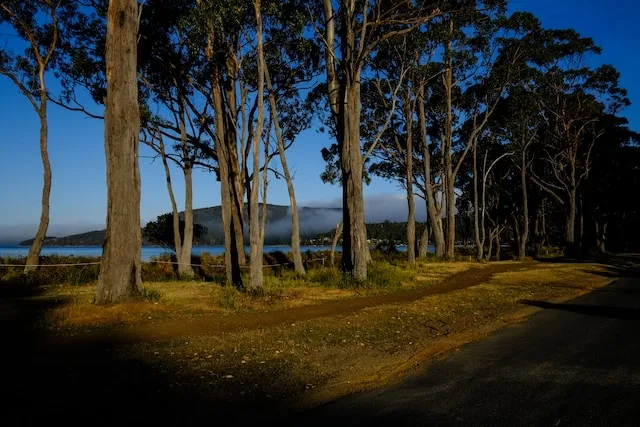 Bruny Island