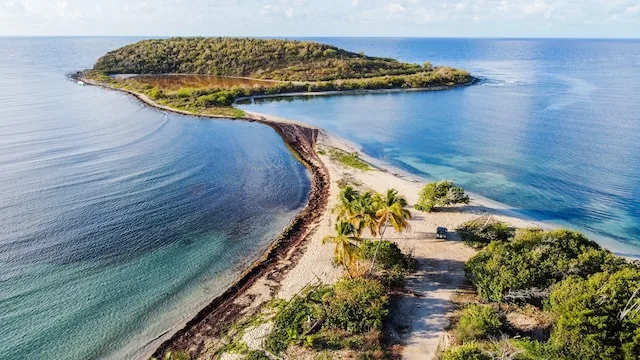 Vieques